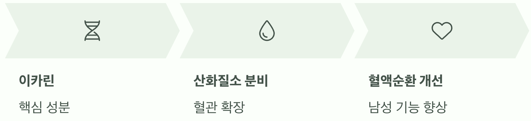 '이카린' 성분, 혈관을 확장하다