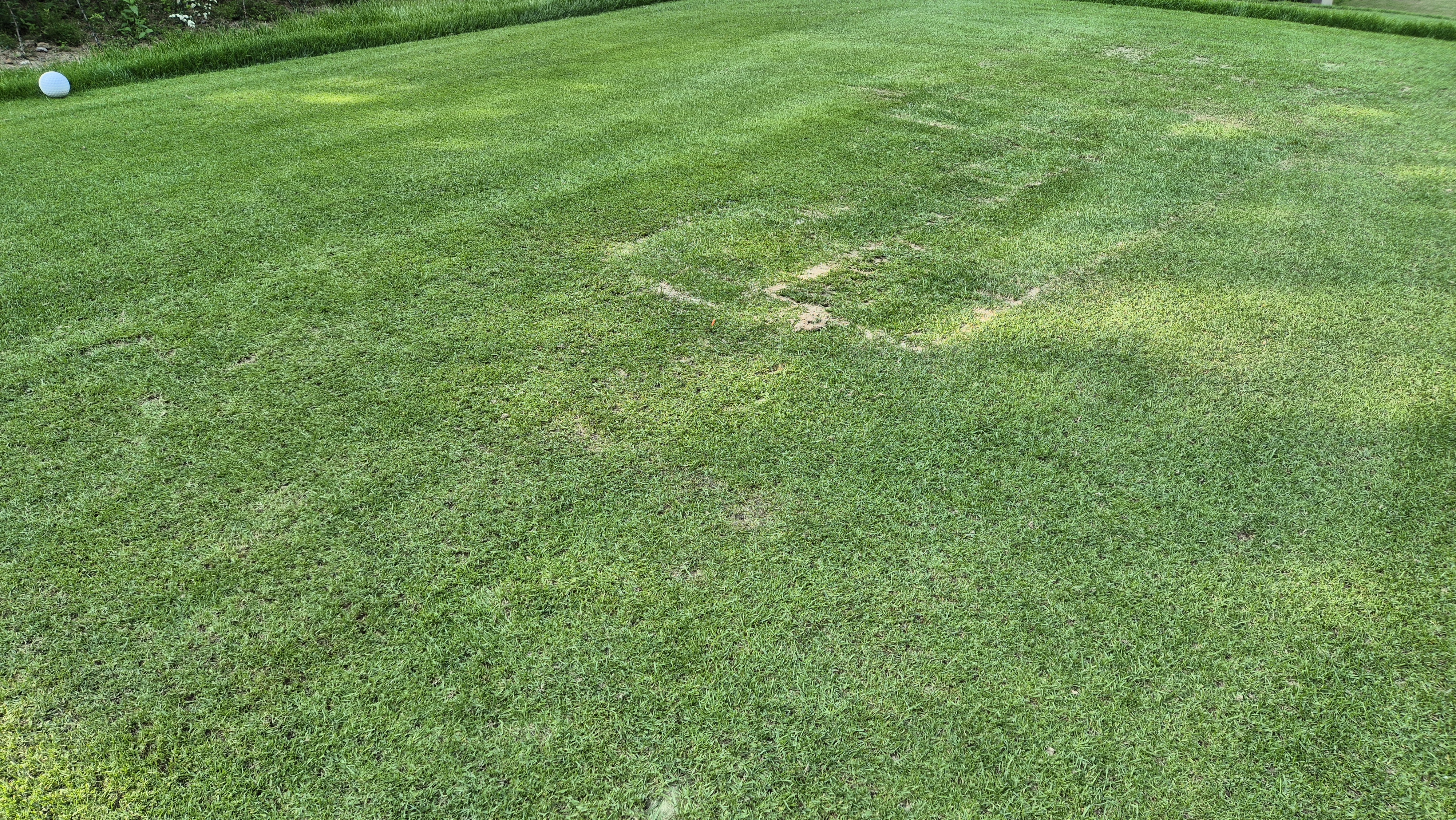 이포cc 라운드 후기