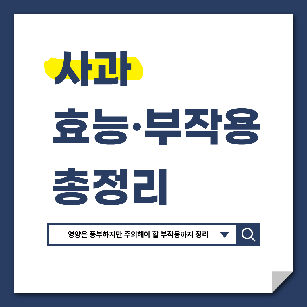 사과 효능 부작용