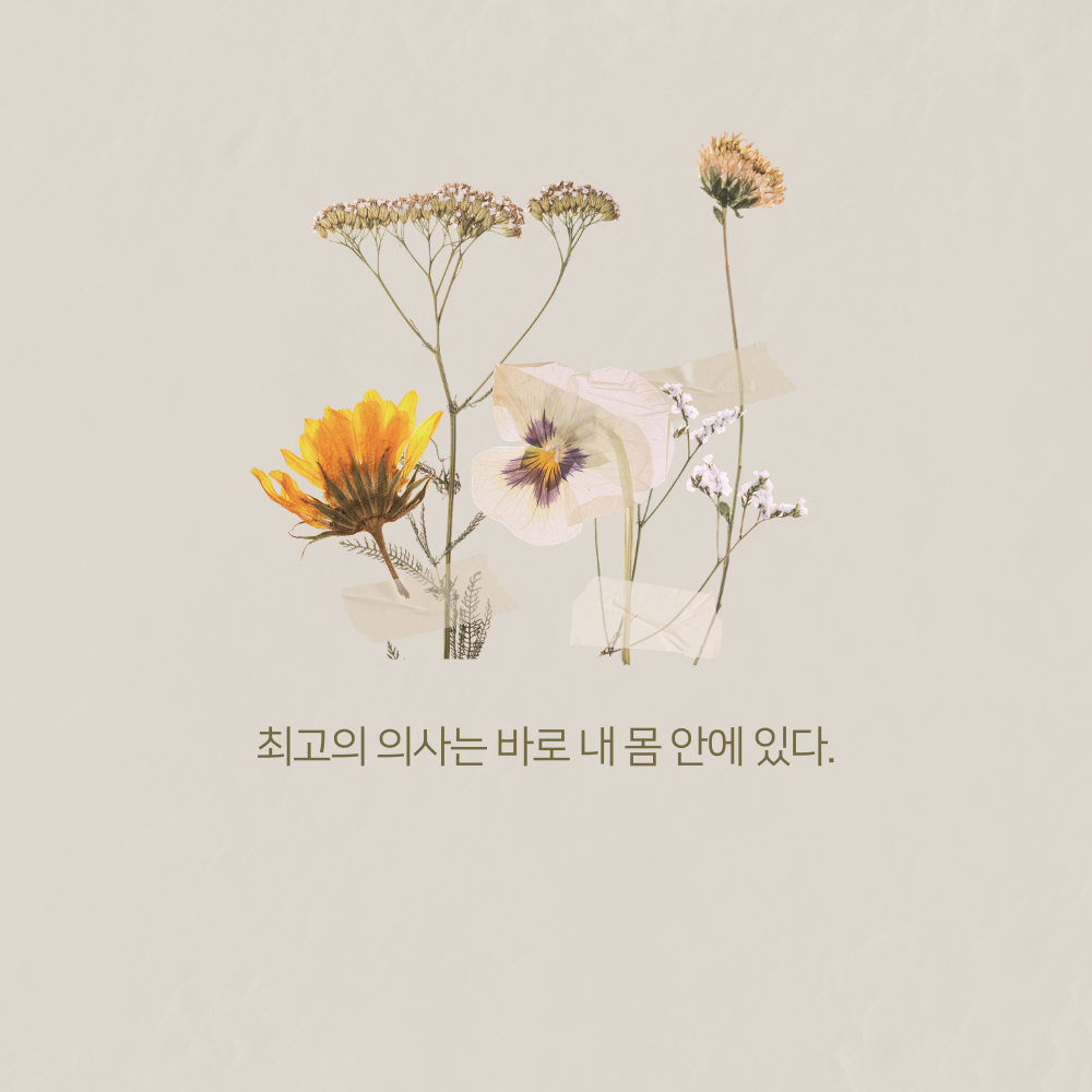 건강 명언 모음 이미지 글귀