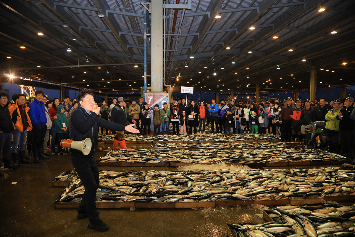  부산고등어 축제 프로그램