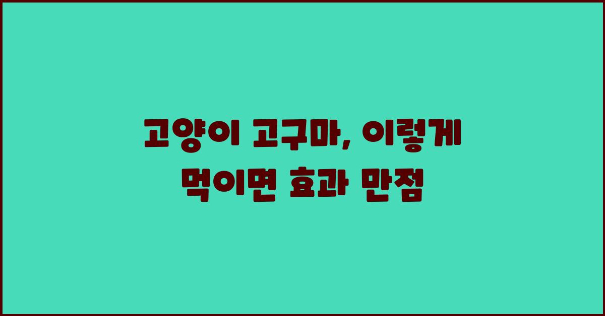 고양이 고구마