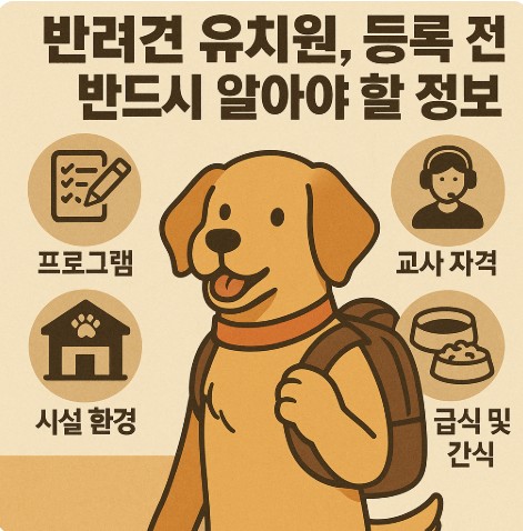 반려견 유치원 등록전 정보들