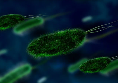 미생물과 도시 환경의 상호작용: 보이지 않는 생태계와 인간 건강