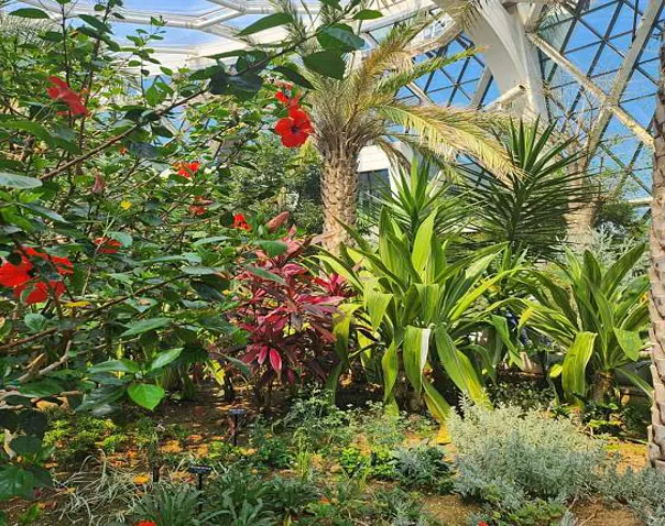 서울식물원온실