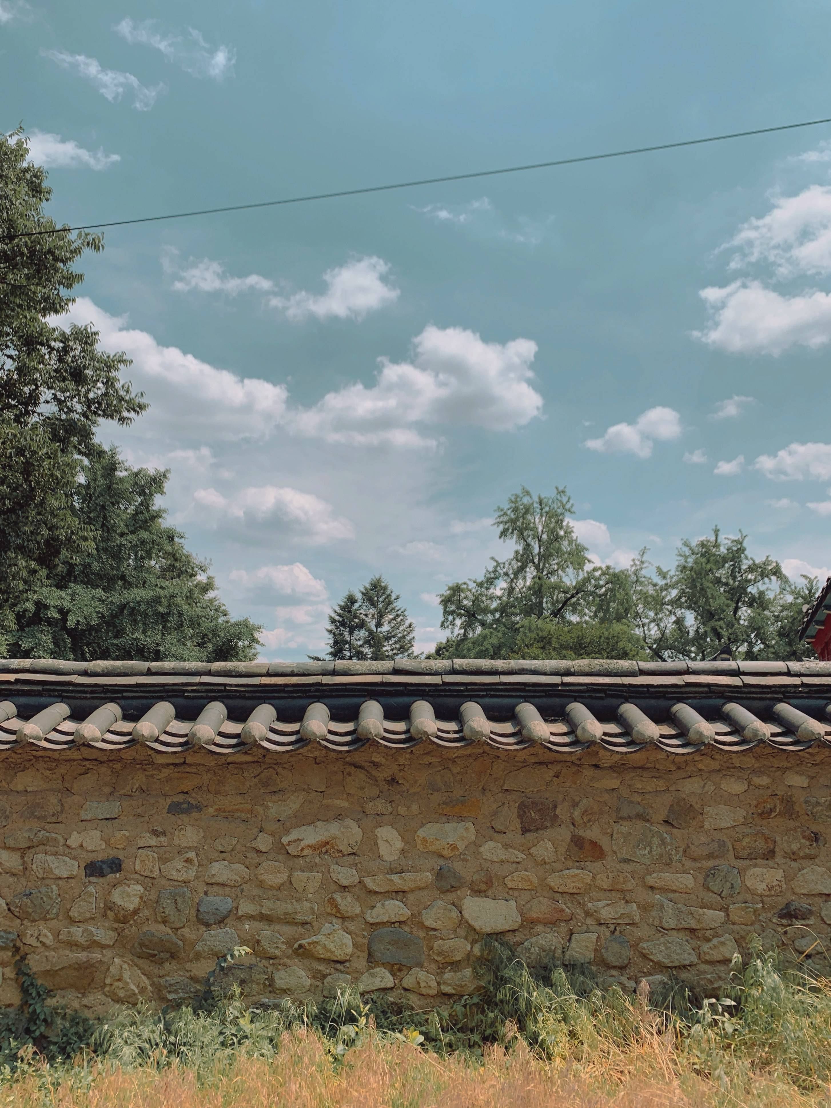 APEC 뜻 완벽 정리|아시아태평양경제협력체란? 21개국이 함께 만드는 세계 경제 협력의 중심