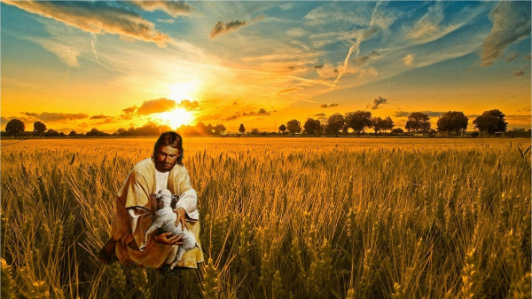 보리밭에서 어린양을 안고 있는 예수님