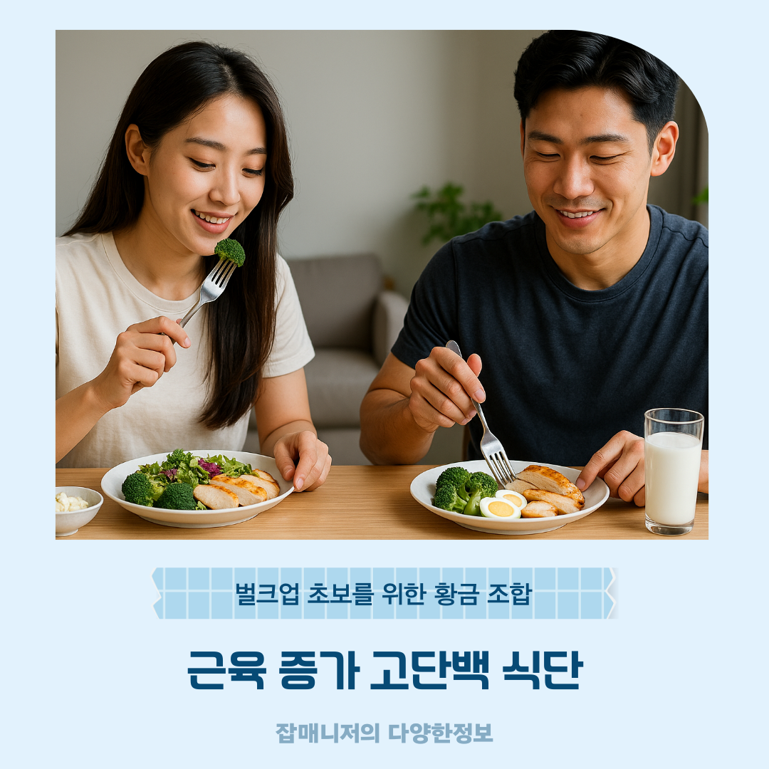 근육 증가 고단백 식단 ❘ 벌크업 초보를 위한 황금 조합