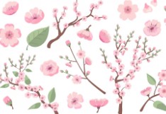 오사카-벚꽃-개화시기-1