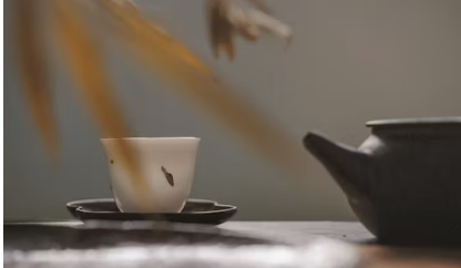 칡즙 효능 썸네일