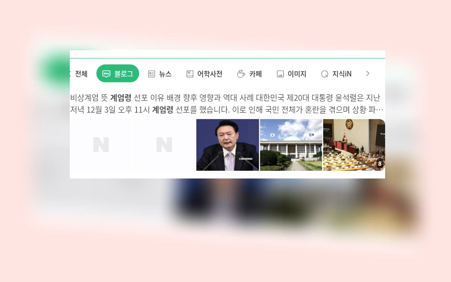 계엄령_1_subsection