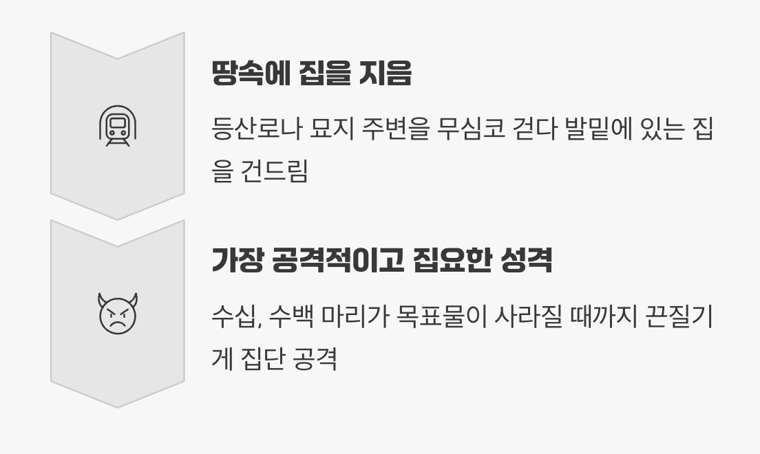 3. 보이지 않는 지뢰, 땅벌