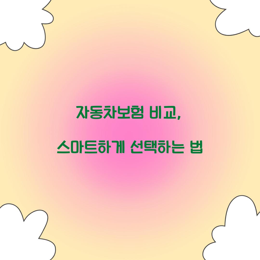 자동차보험 비교