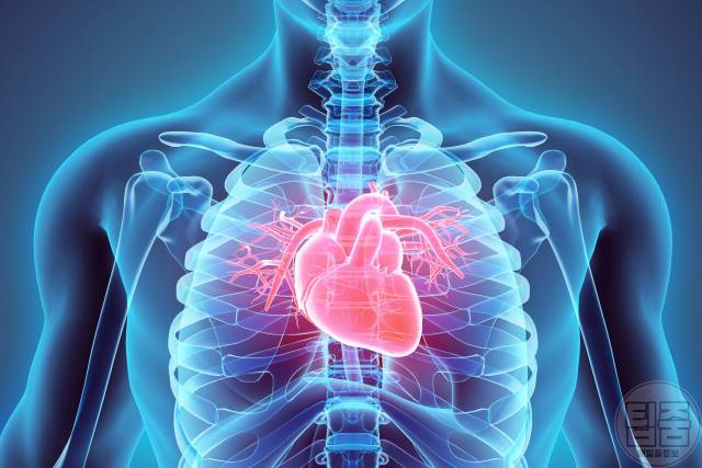 코코넛워터효능 성인병 콜레스테롤