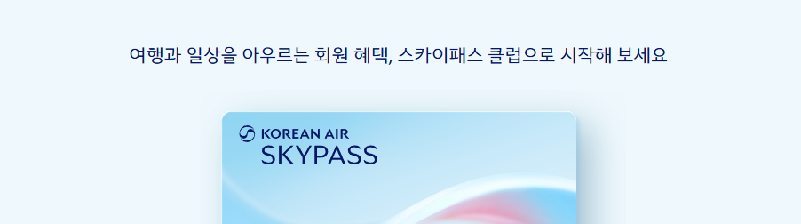 스카이패스 등급 체계 개요