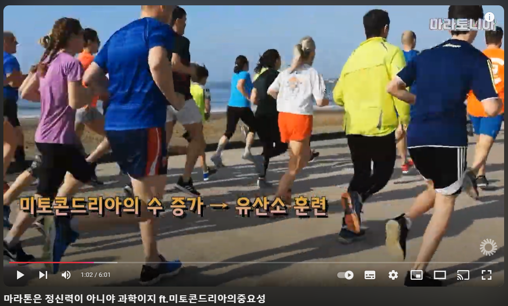 러닝 체력을 빠르게 늘리는 방법 미토콘드리아와 유산소 운동