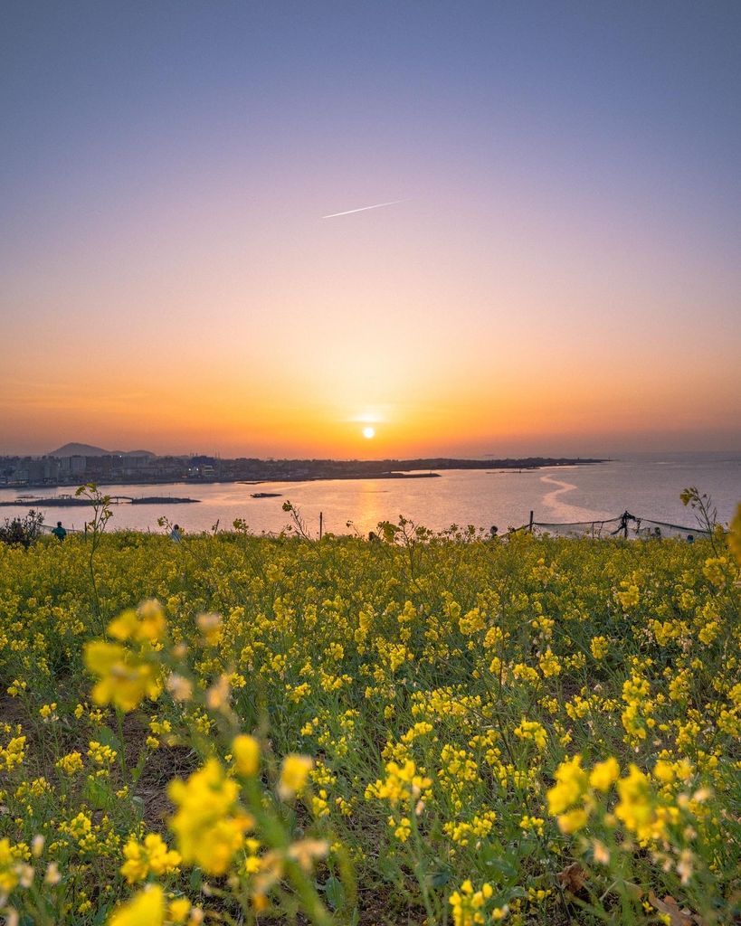 3월에 가볼 만한 국내 여행지 BEST 7 (봄꽃 명소 포함)