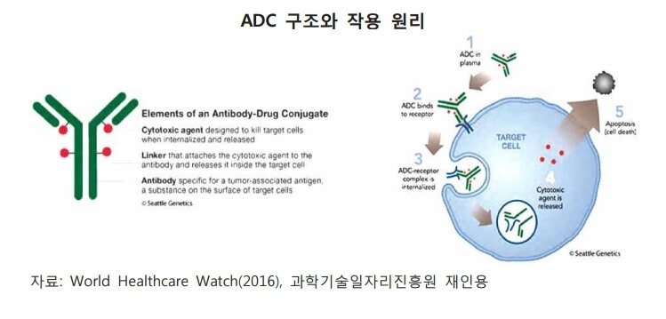 ADC-작용-원리에-대한-설명