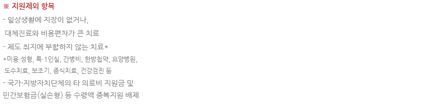 재난적 의료비 지원사업