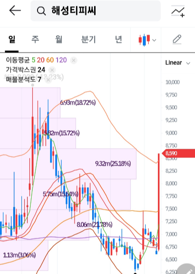해성티피씨 상한가