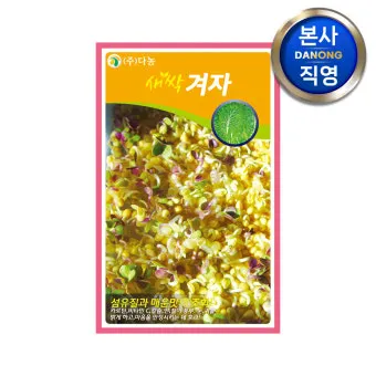 새싹무 재배 씨앗 소독 얇게 파종 통풍 관리_8