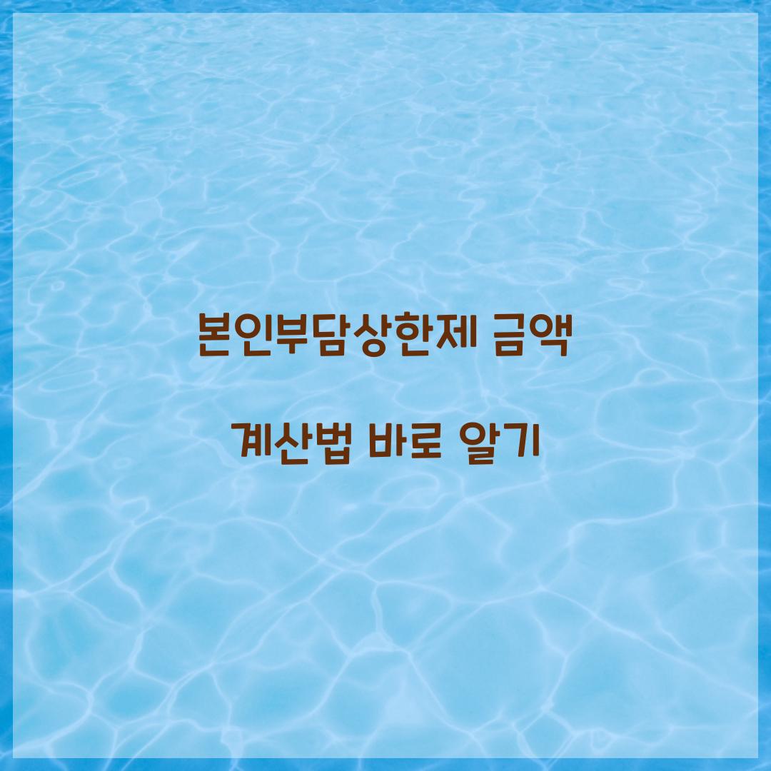 본인부담상한제 금액