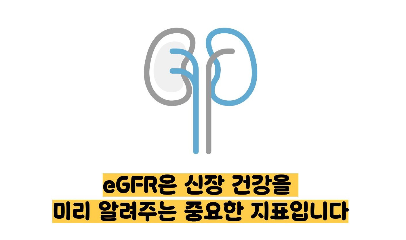 egfr 정상수치