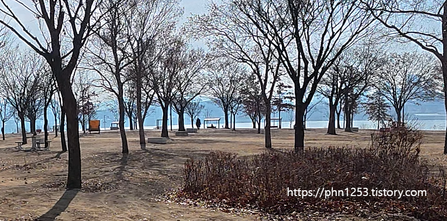 Alt 속성 문제 해결 설명 이미지