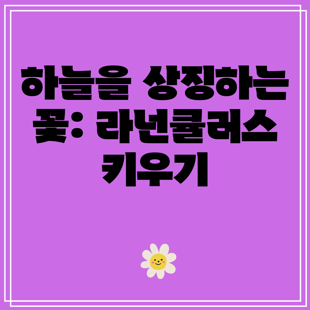 하늘을 상징하는 꽃 라넌큘러스 키우기