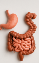 카무트 효소 효능