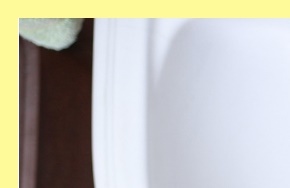 성홍열유행주의