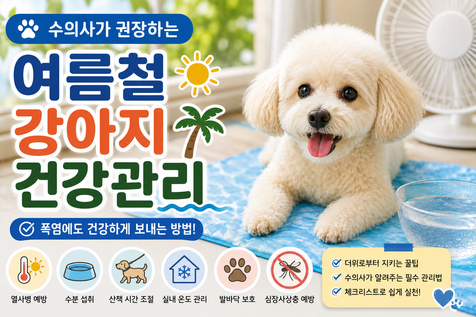 수의사가 권장하는 여름철 강아지 건강관리
