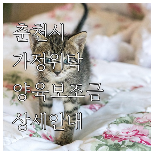 춘천시 2025 가정위탁 양육보조금 ..