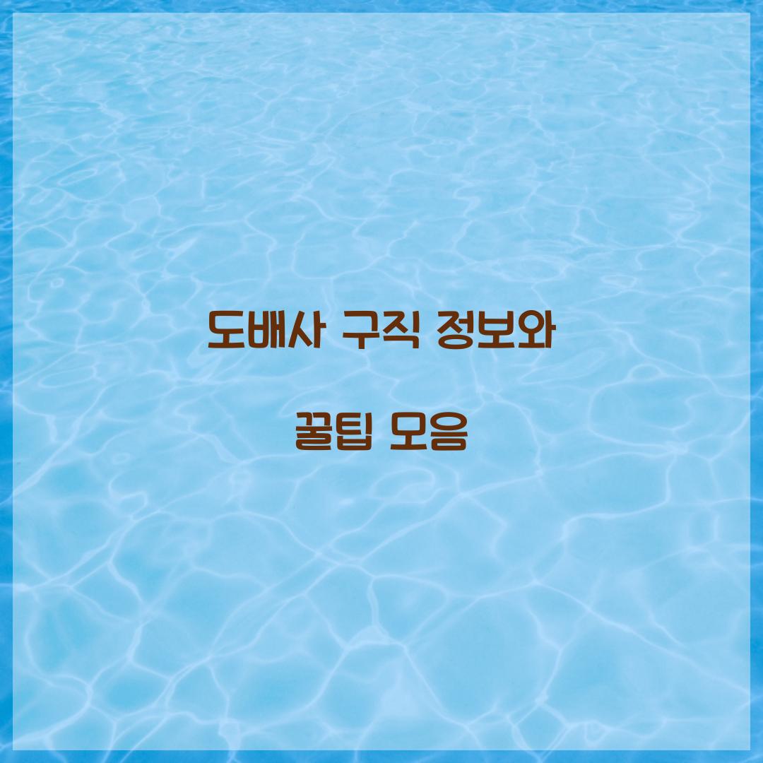 도배사 구직