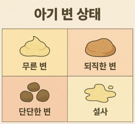 아기 변 상태로 보는 건강 신호 사진