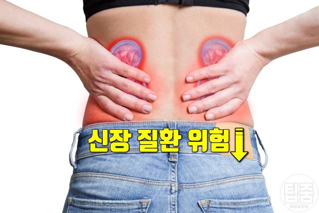 두릅 효능 단백질 두릅 생으로 먹어도 되나요 두릅부작용