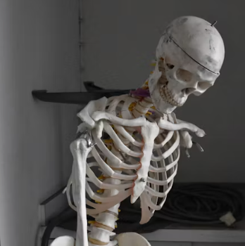 골다공증에 좋은 음식 영양제 식단