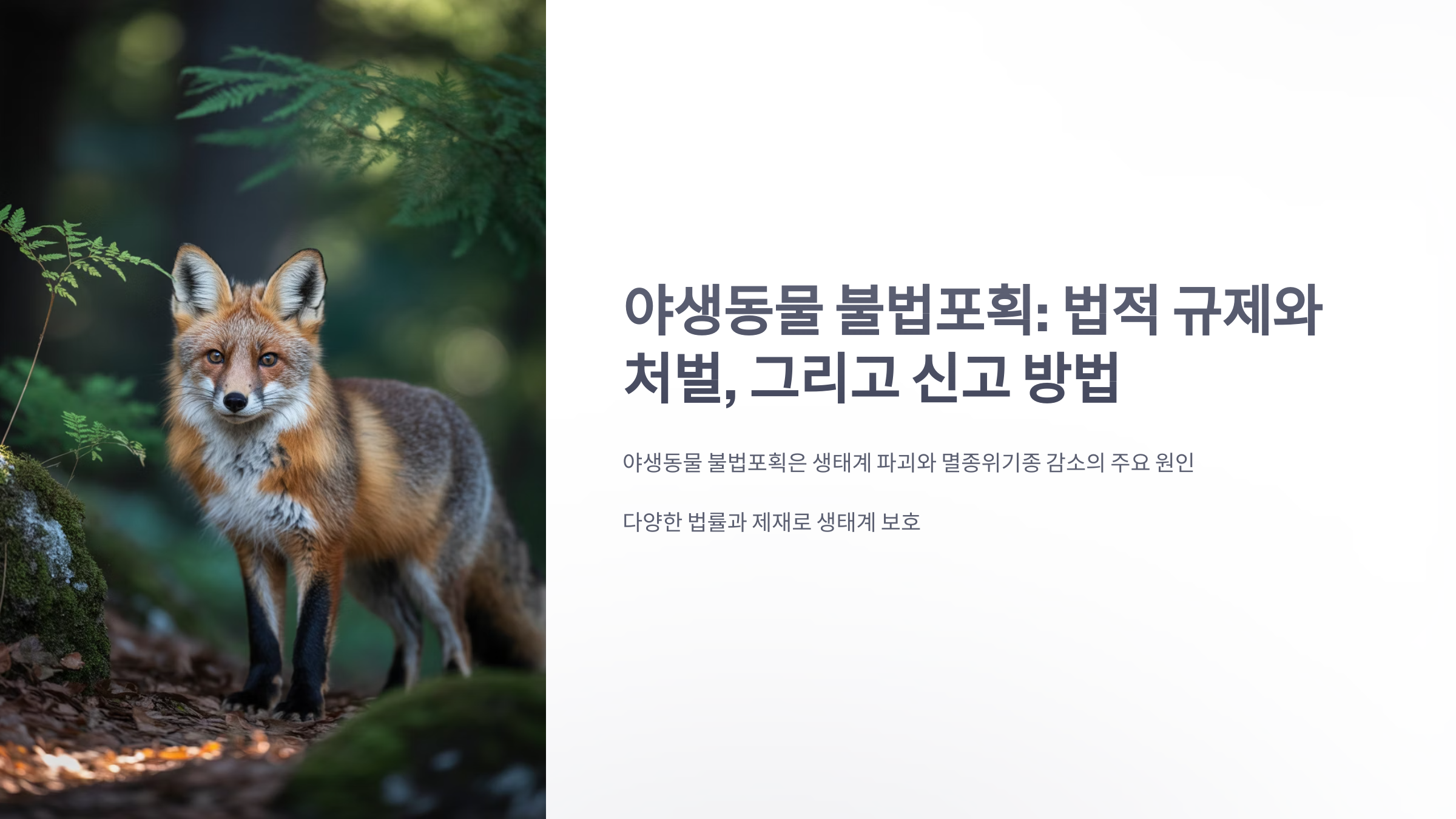 참조-야생동물-불법포획-1