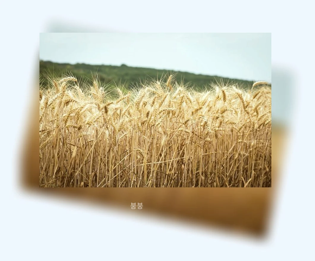 농업 다각화_1_subsection