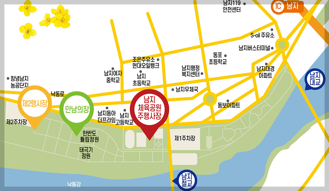 창녕 낙동강유채축제