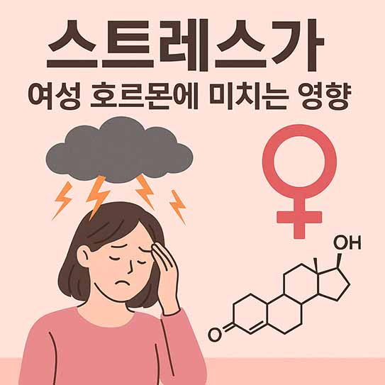 스트레스가 여성 호르몬에 미치는 영향