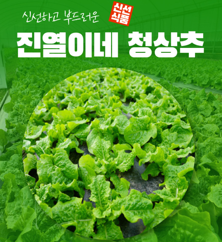 [6시 내고향] 남원 쌈채소&amp;#44; 김해 가시오이 택배주문 정보