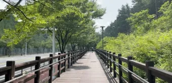 걷기좋은 숲길 50 서울 전남 경북_14