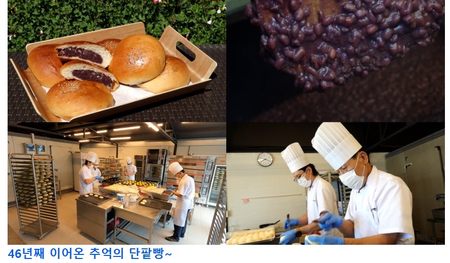 극한직업-빵에-인생을-걸다-빵-굽는-사람들-3곳