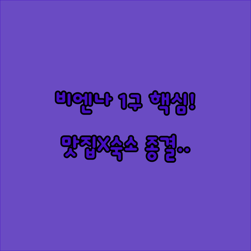 비엔나 1구 국회의사당 주변 맛집 가..