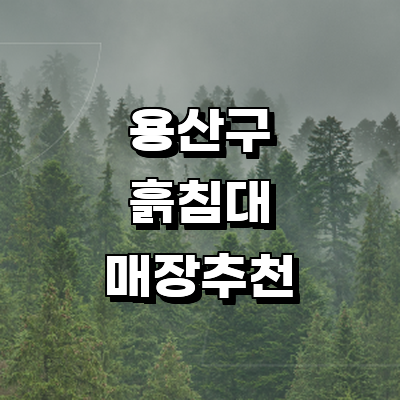 서울 용산구 흙침대