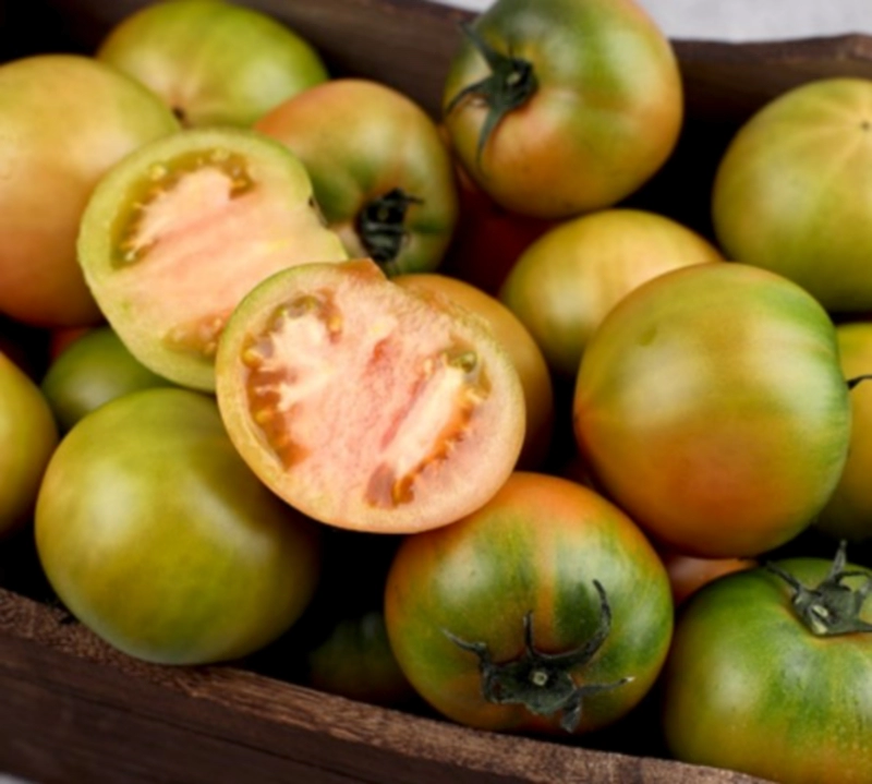 짭짤이 토마토란?