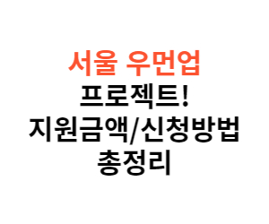 서울시 우먼업 프로젝트 구직지원금 우먼업 인턴십 고용장려금