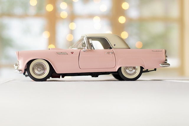 2024년 강원도 주정차 위반 과태료 조회하기