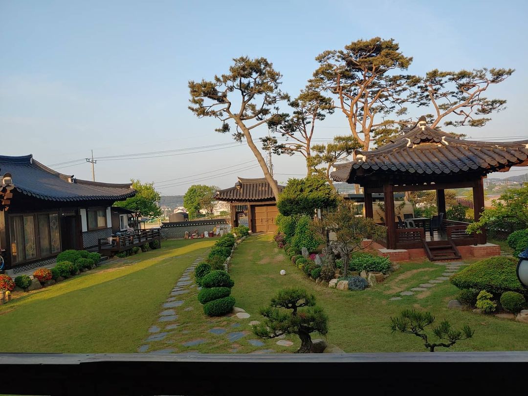 생방송오늘저녁 소나무 기와집 한옥 스테이 숙소 독채 온수풀장 스파 대부도 펜션 추천